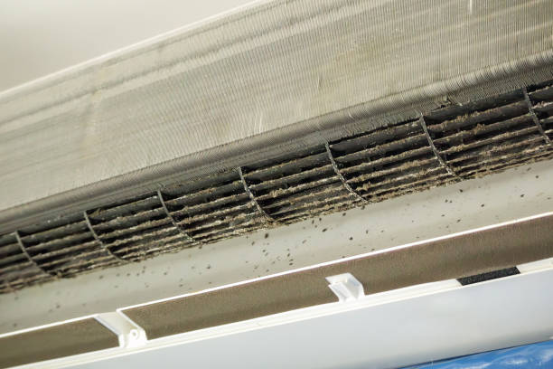 Best Affordable Air Duct Cleaning  in Cascade, ID